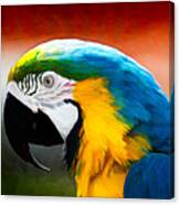 Macaw Tropical Bird Canvas Print