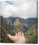 Madeiran Chaffinch Has Flown To The Man's Hand For Food Crumbs Canvas Print