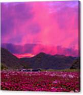 Magenta Mountain Sunset Canvas Print