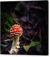 Magic Mushroom Canvas Print