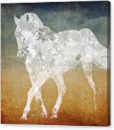 Magical Horse 15 Canvas Print