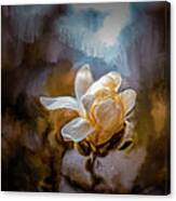Magnolia White #k9 Canvas Print