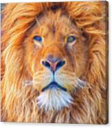 Male Lion Portrait Digital Art Canvas Print