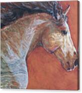 Marble Mustang Canvas Print