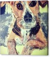 Beagle Rescue Canvas Print
