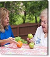 Matching Apples To Apples Canvas Print