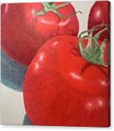 Maters Canvas Print