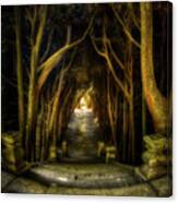 Mateus - Cypress Tunnel From The Top Canvas Print