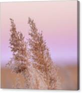 Meadow Breeze Canvas Print