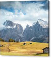 Meadow Field And The Dolomiti Rocky Peaks Alpe Di Siusi Seiser Alm Italy Canvas Print