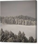 Mountain Meadow In Winter Canvas Print