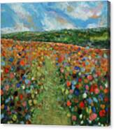 Meadow With Wildflowers Canvas Print