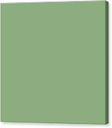Medium Sage Green Solid Color Digital Art by PIPA Fine Art - Simply Solid -  Pixels