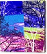 Medley Of Trees Triptych Canvas Print