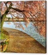 Meet Me At Our Bench Canvas Print