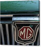 Mg Canvas Print