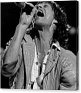Mick Jagger On Stage Canvas Print