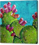 Midnight Prickly Pear Ii Canvas Print