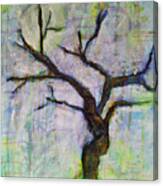 Midnight Tree Canvas Print