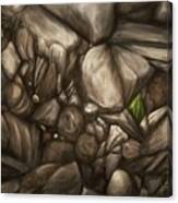 Mineral Soil Canvas Print