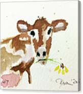 Mini Cow 7 Canvas Print