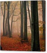 Misty Autumn Forest Canvas Print