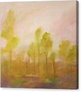 Misty Morning         5820 Canvas Print