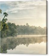 Misty Morning Color Canvas Print