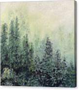 Misty Pines Canvas Print