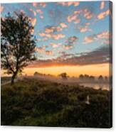 Misty Sunrise Canvas Print