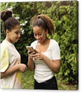 Mixed-race Teenage Sisters Looking At Mobile Phone In Backyard. Canvas Print