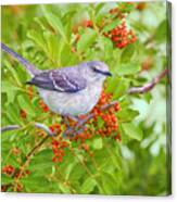 Mockingbird And Berries Canvas Print