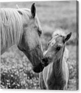 Momma's Kisses Are Best Canvas Print