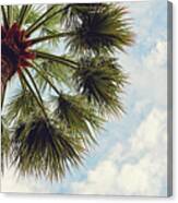 Monaco Palm Canvas Print
