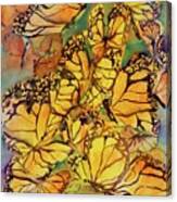 Monarch Butterfly Kaliedoscope Canvas Print