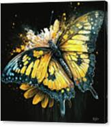 Monarch Daisy Explosion Canvas Print