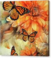 Monarchs And Mums Canvas Print