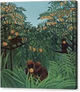 Monkeys In The Jungle, 1910 Canvas Print