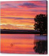 Montana Sunset Canvas Print