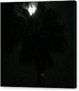 Moon Over Jamaica Canvas Print