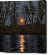 Moon Reflections Canvas Print