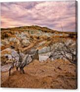 Morning At The Paint Mines Canvas Print