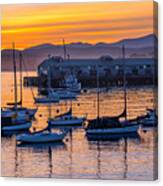 Morning Light In Monterey Canvas Print