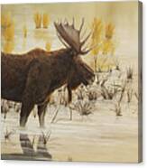 Morning Light - Moose Canvas Print