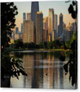 Morning On Chicago's South Lagoon Canvas Print