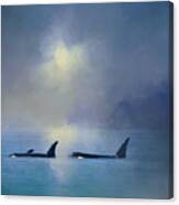 Morning Orca Swim Canvas Print