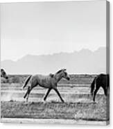 Morning Run For Coffee Canvas Print