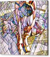 Mosaic Portret Ballet Canvas Print