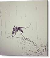 Mosquito Canvas Print