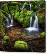 Mossy Spring Waterfall 2021 Canvas Print